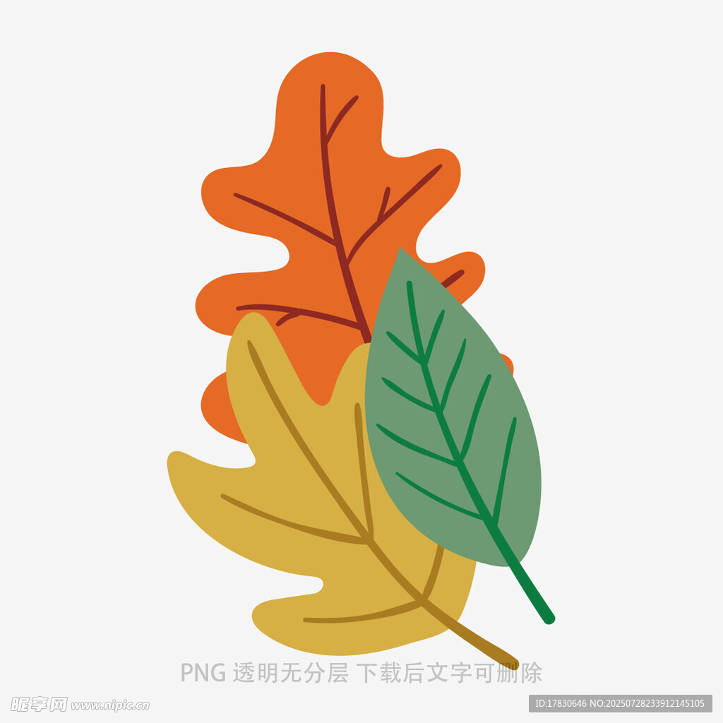 多彩秋叶插画
