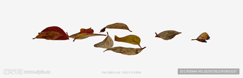 多彩秋叶漂浮画面