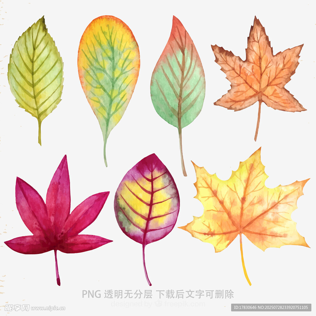 多彩水彩秋叶插画素材