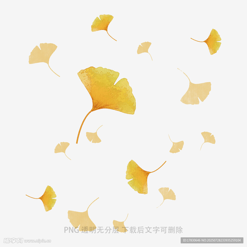 飘落的银杏叶
