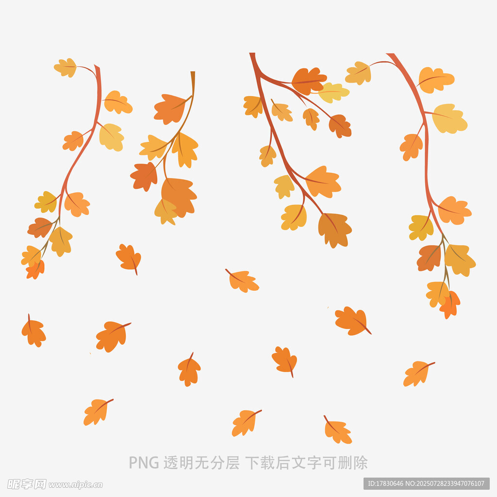 秋日枫叶飘落装饰图案
