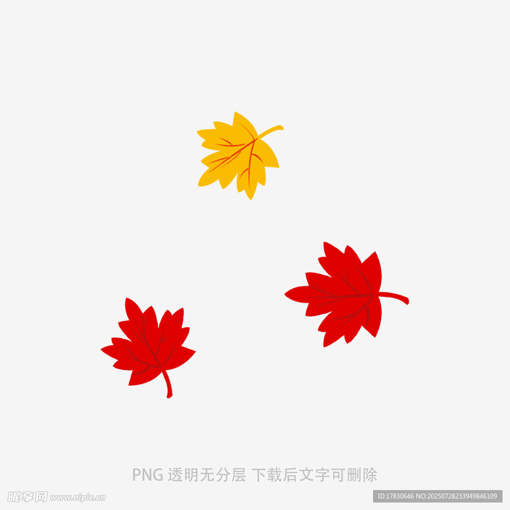 飘落的红黄枫叶