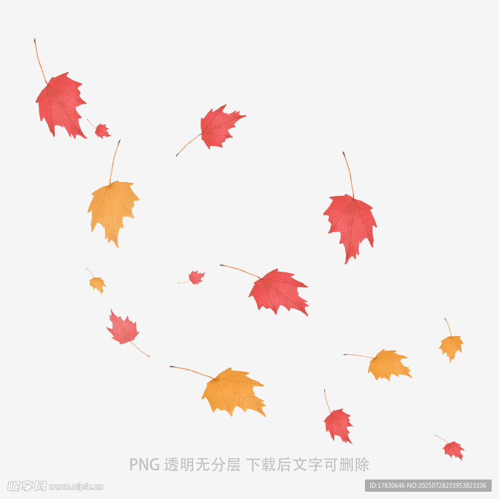 飘落的多彩枫叶