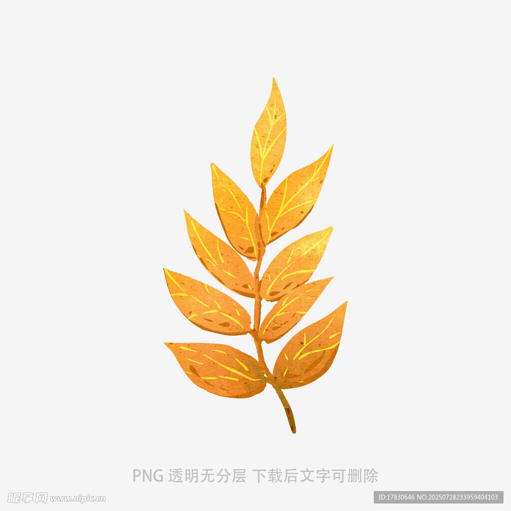 金黄秋叶插画