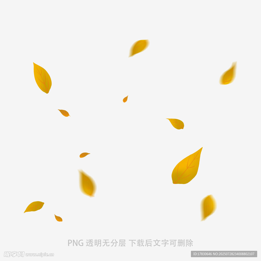 飘落的金黄树叶