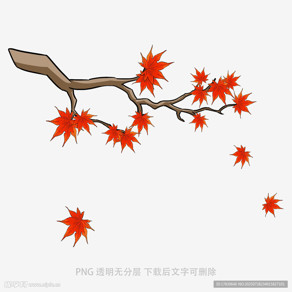 落叶