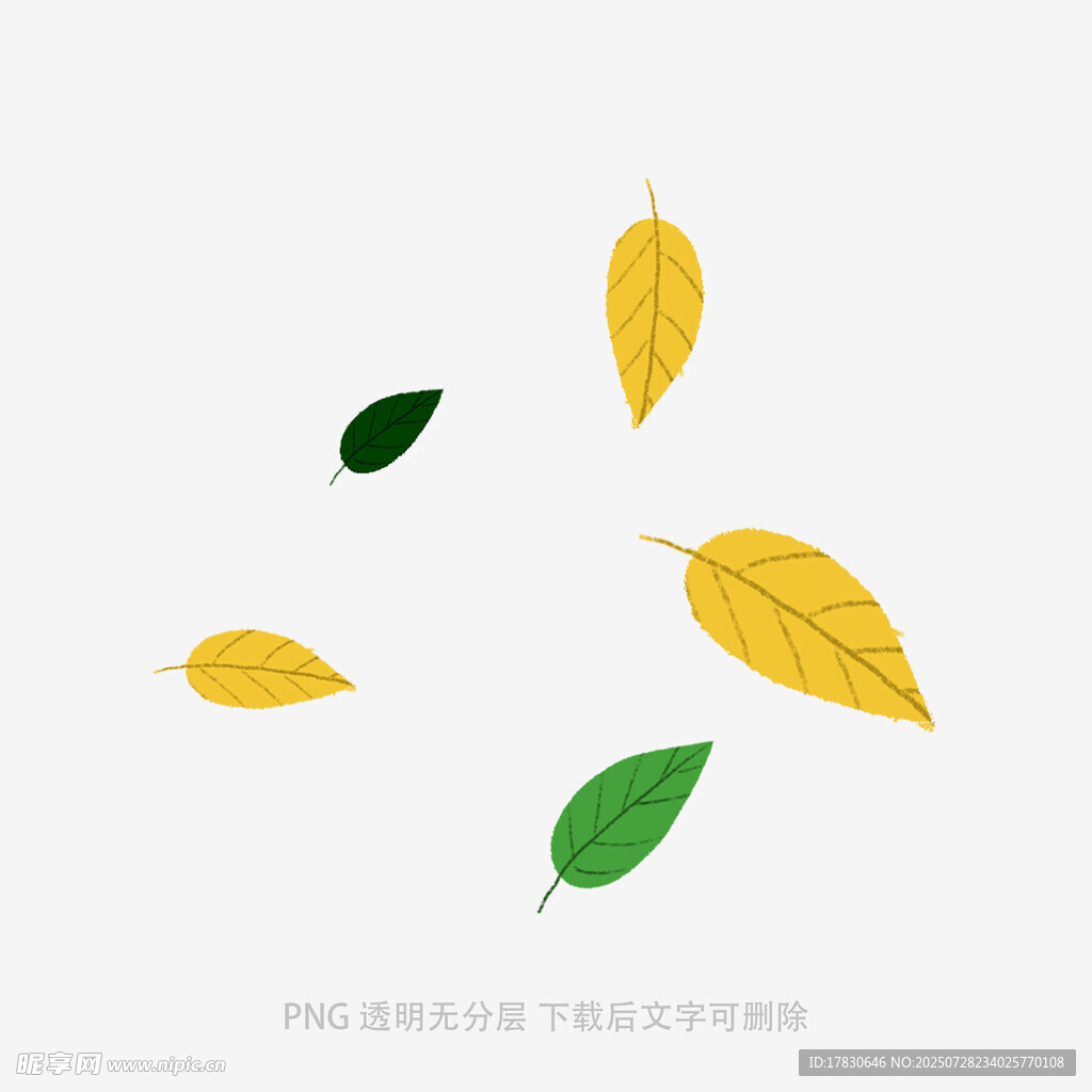 黄绿秋叶散落画面