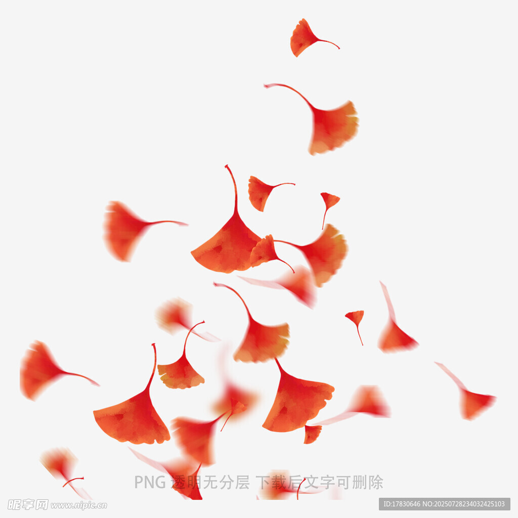 落叶