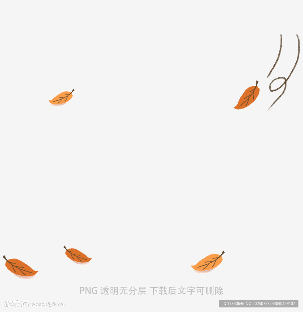飘落的秋叶