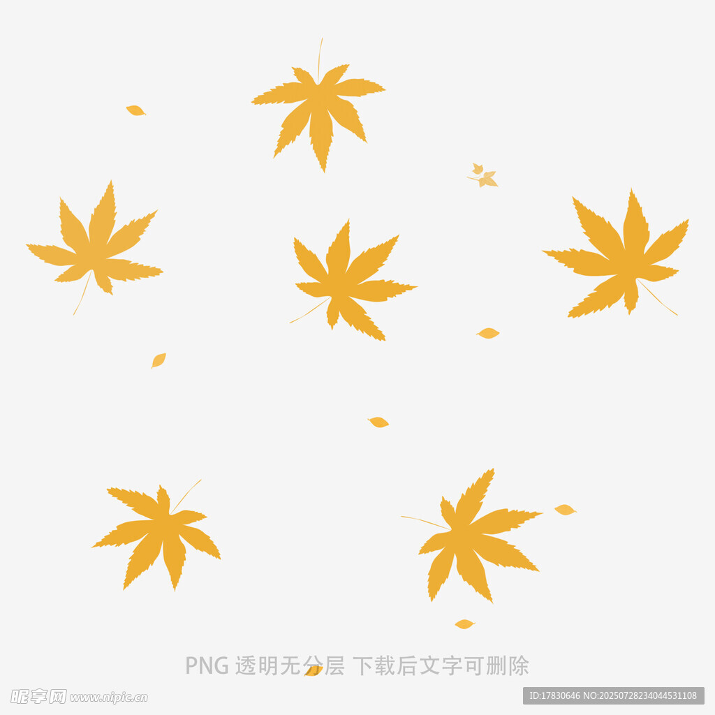 飘落的金色枫叶图案