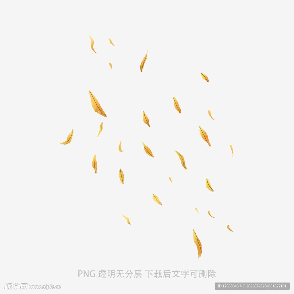 飘落的金色碎片