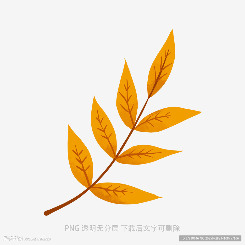 金黄秋叶插画