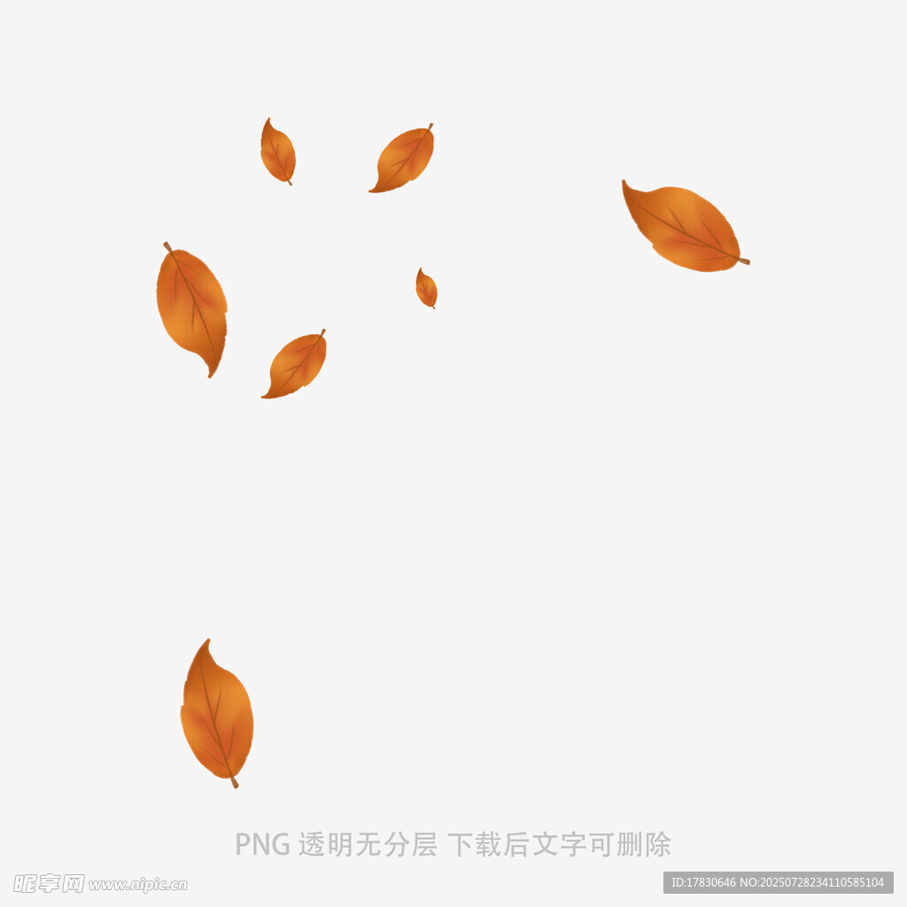 飘落的橙色树叶