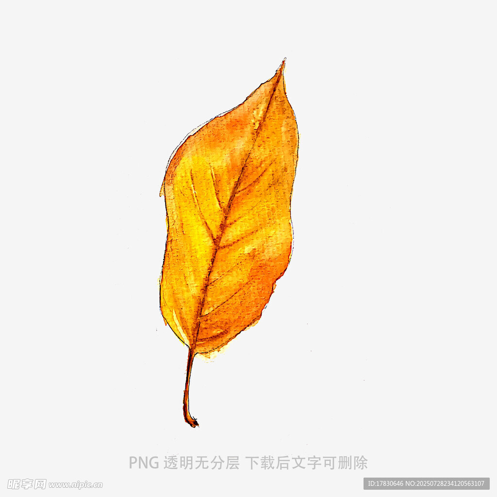 手绘金黄秋叶