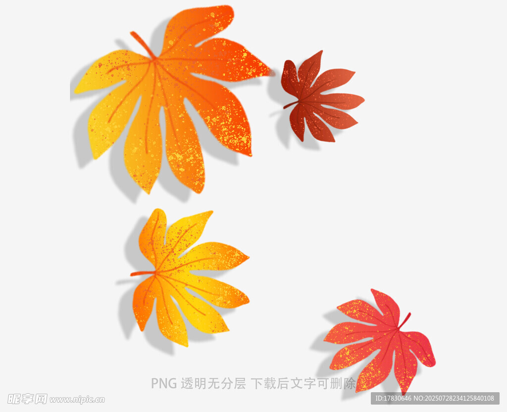 多彩秋叶装饰图案