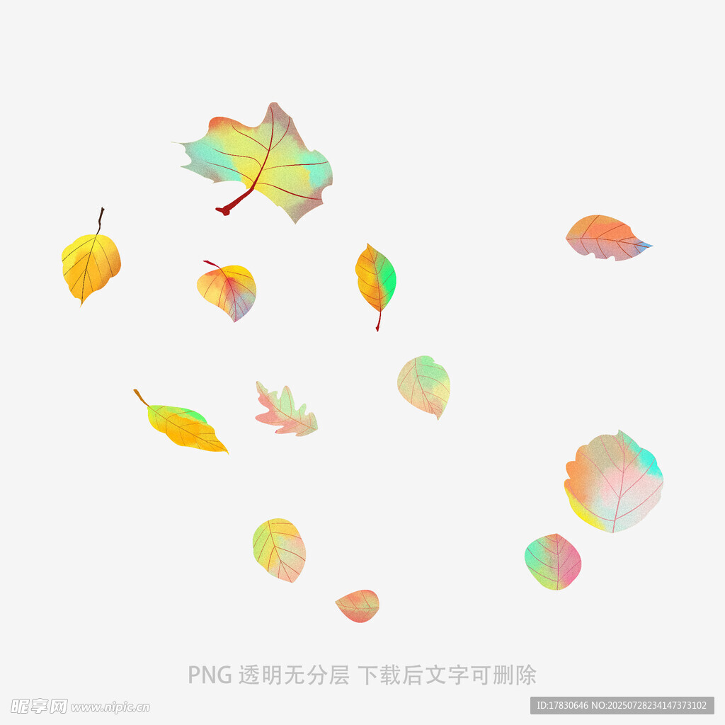 梦幻蝴蝶与多彩落叶