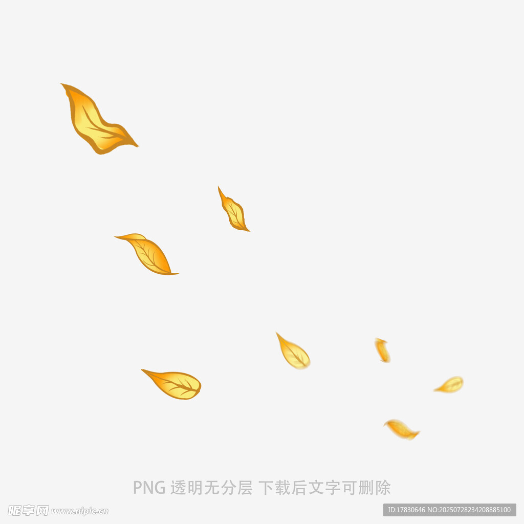 飘落的金黄树叶