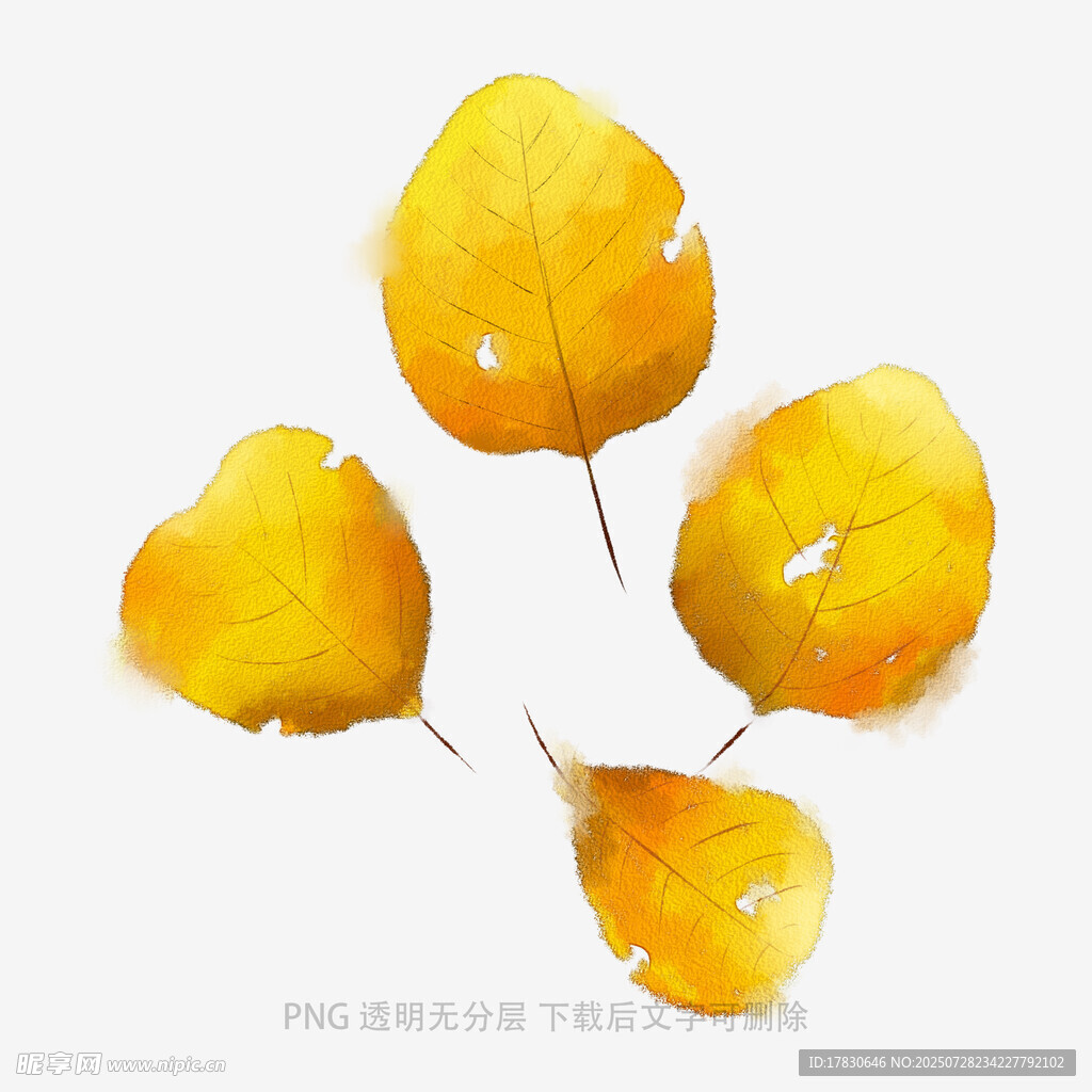 水彩风黄色树叶插画