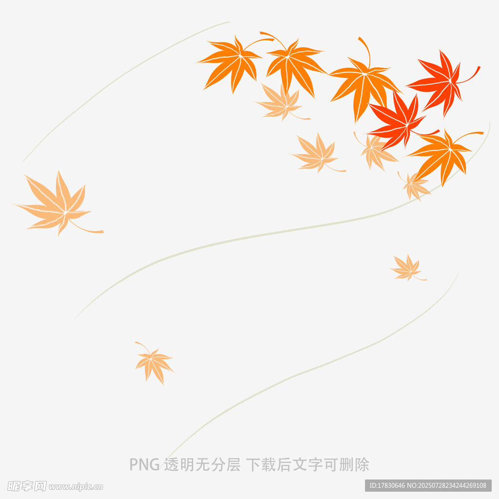 飘落的枫叶背景图