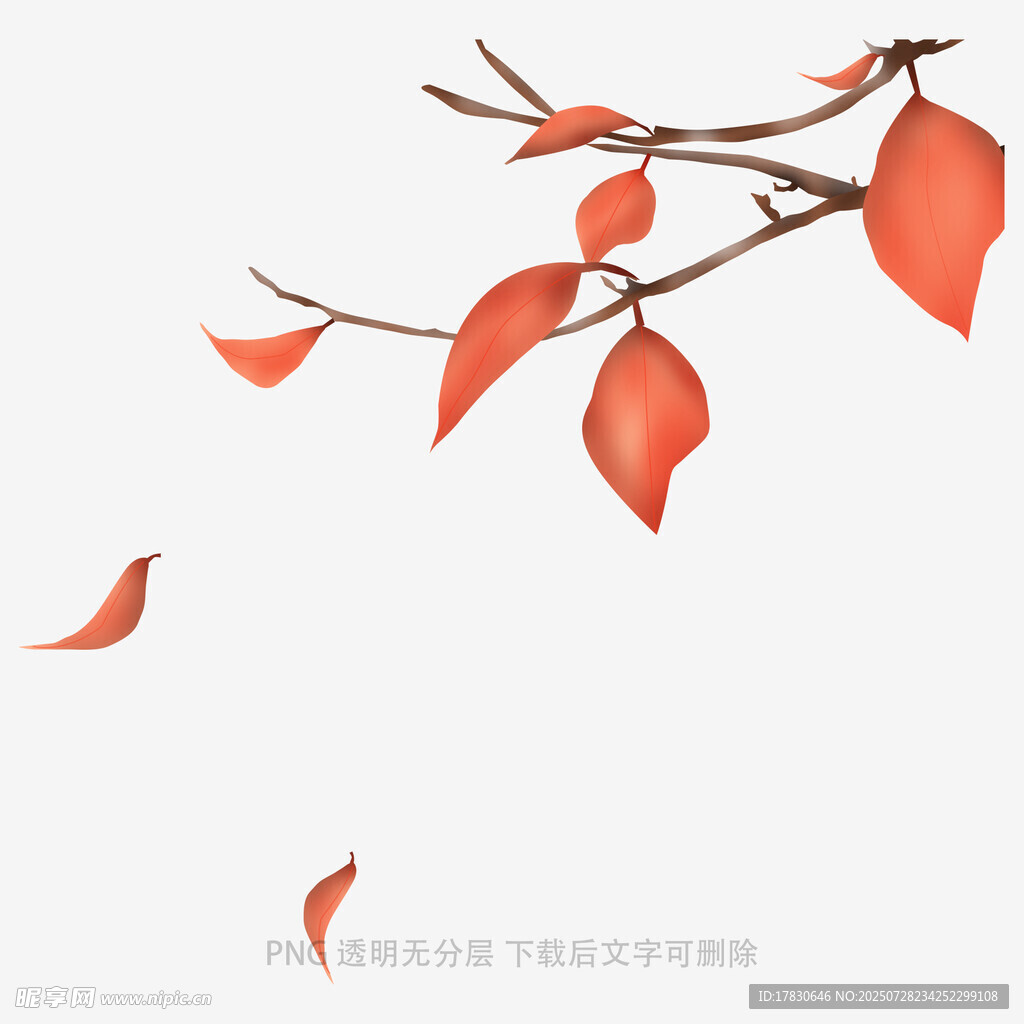 秋日红枝飘叶美景
