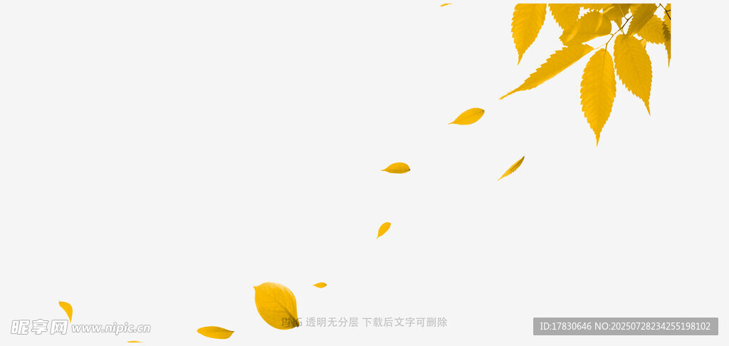 落叶