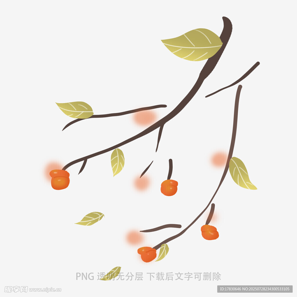 落叶