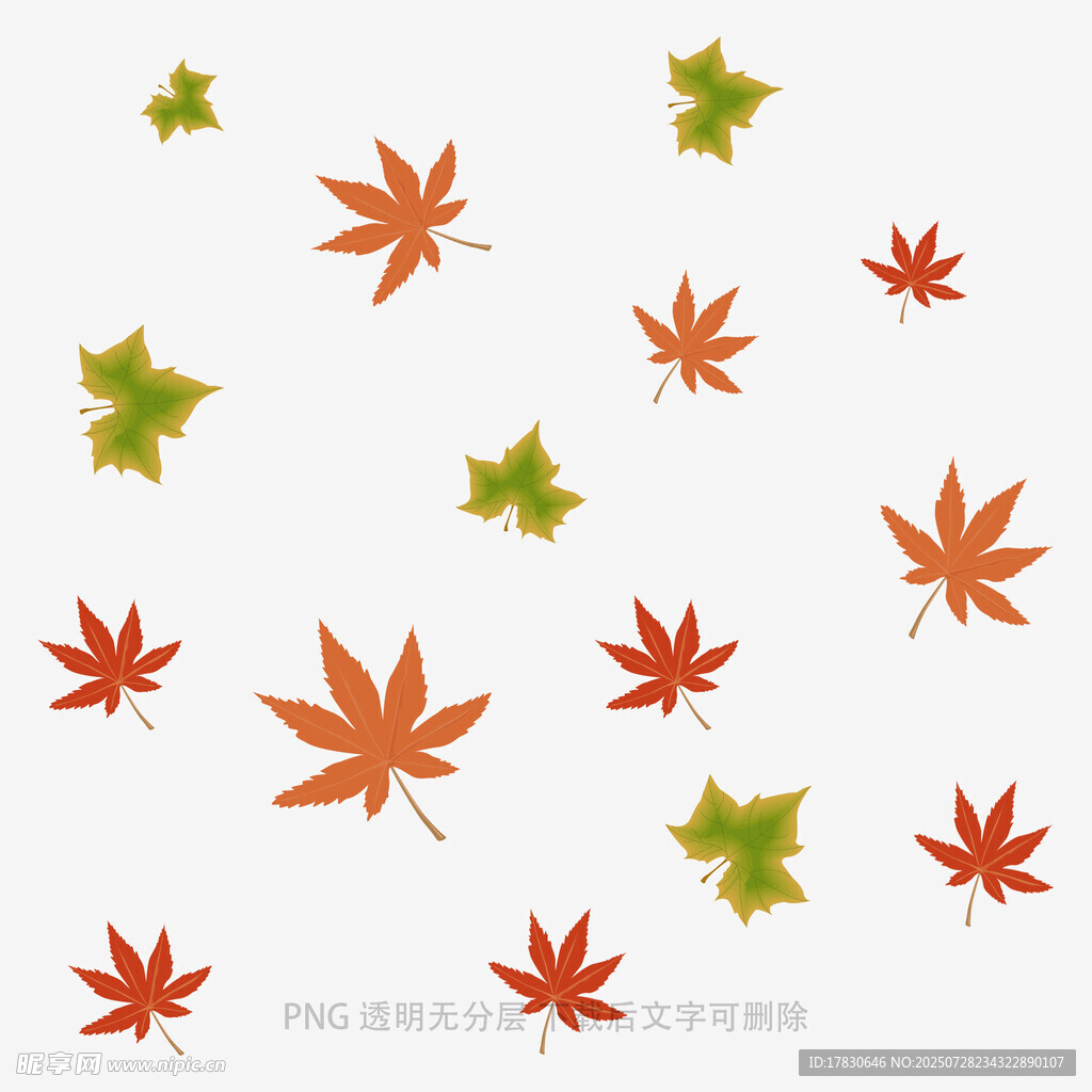 飘落的多彩枫叶