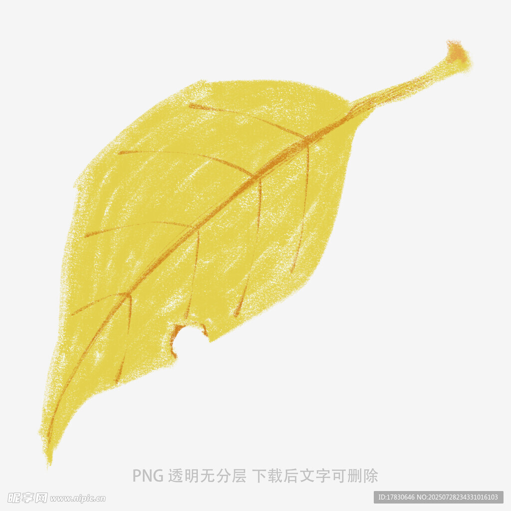 黄色枯叶特写