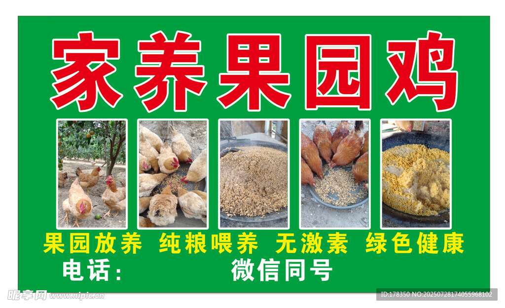 果园鸡