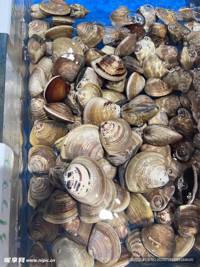 花甲