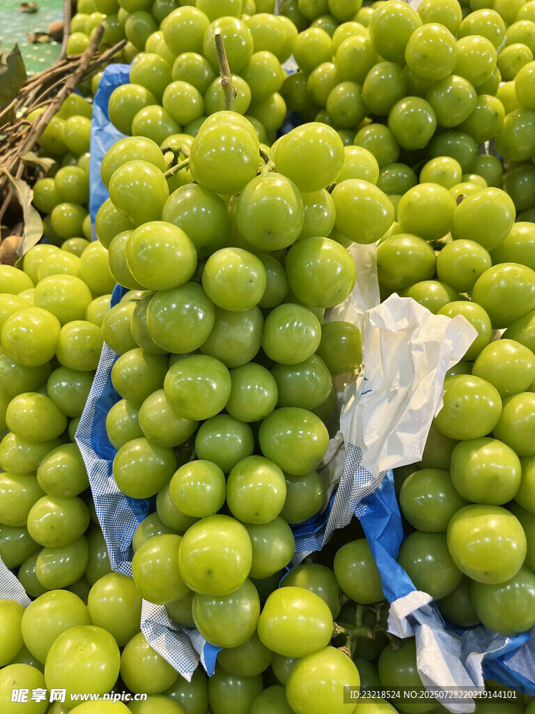 阳光玫瑰