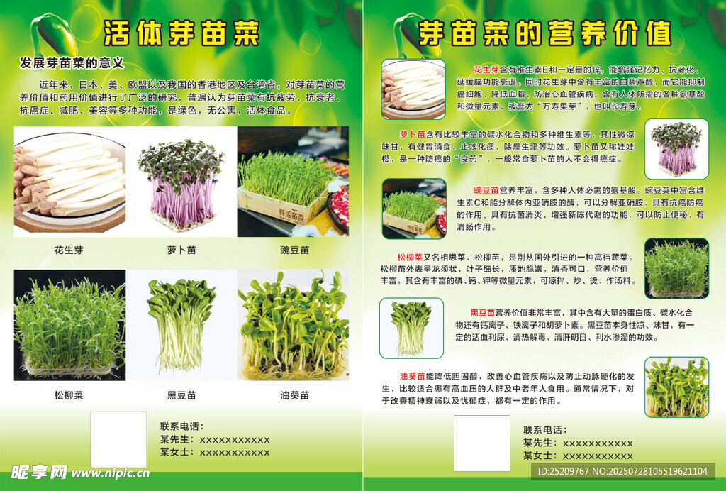 芽苗菜