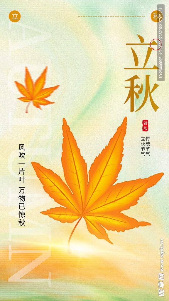 立秋海报