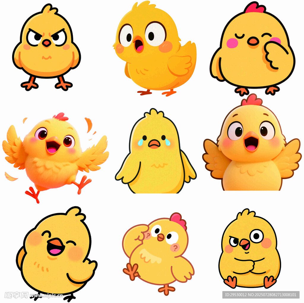 小鸡