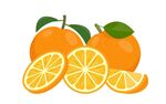 新鲜橙子插图