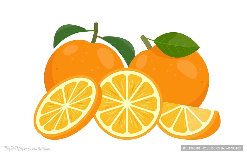 新鲜橙子插图