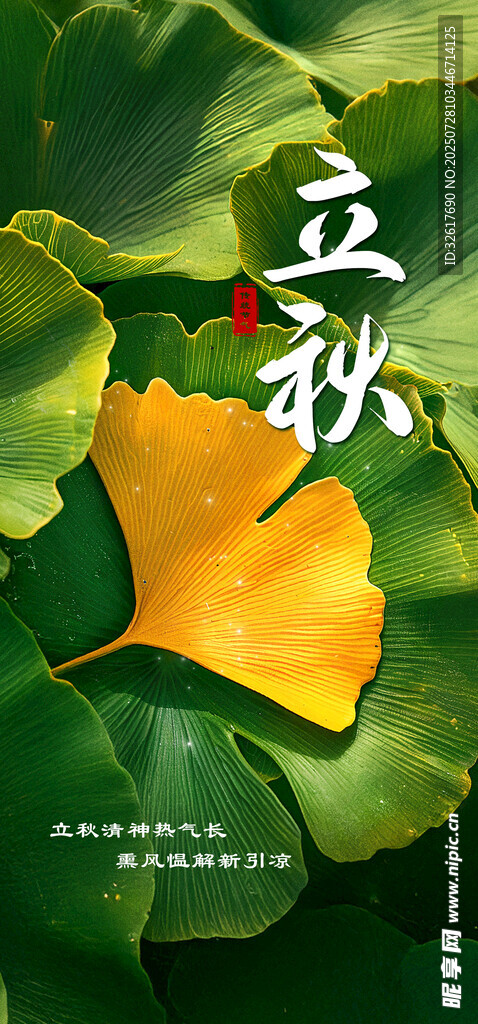 立秋海报