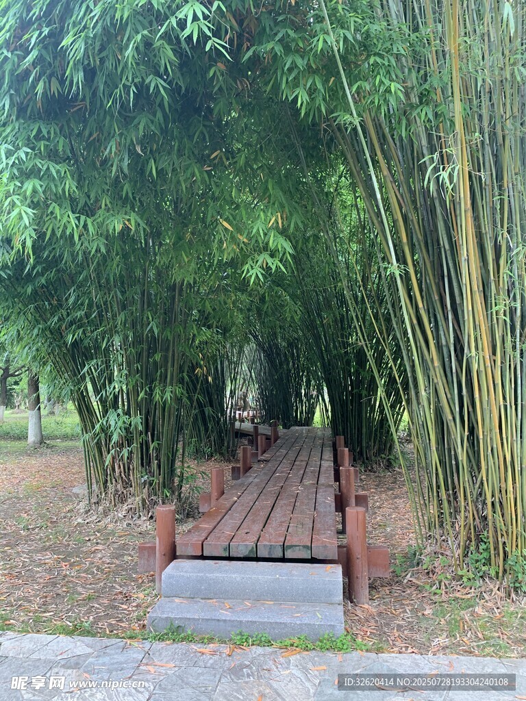 竹林中的木质休憩平台