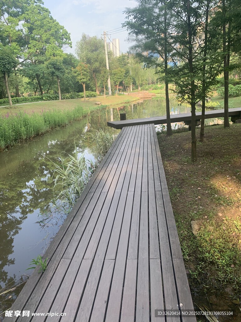 林间木栈道