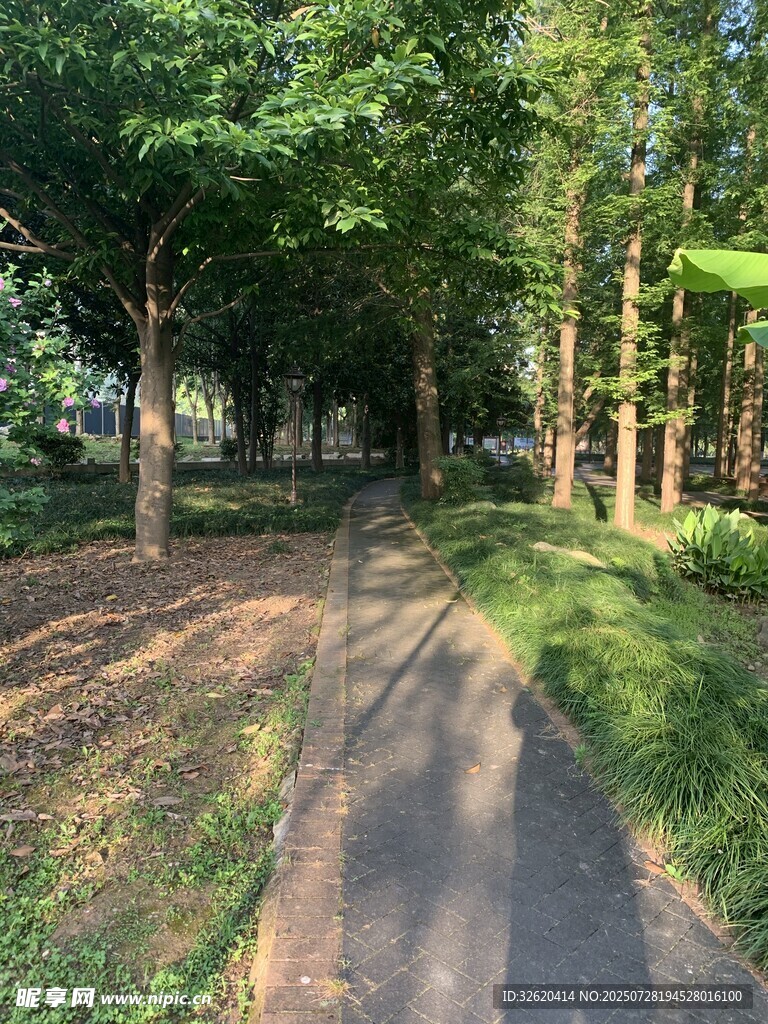 林间幽静小路
