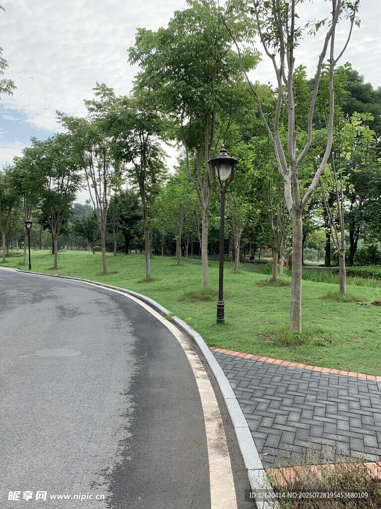 公园蜿蜒小路及周边景致
