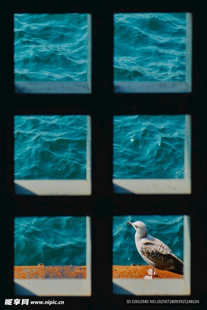 窗外海景与栖息海鸥