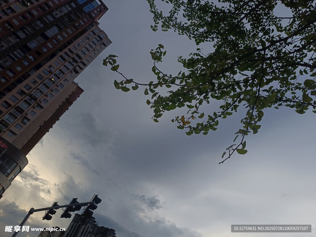 城市天空下的绿树与建筑