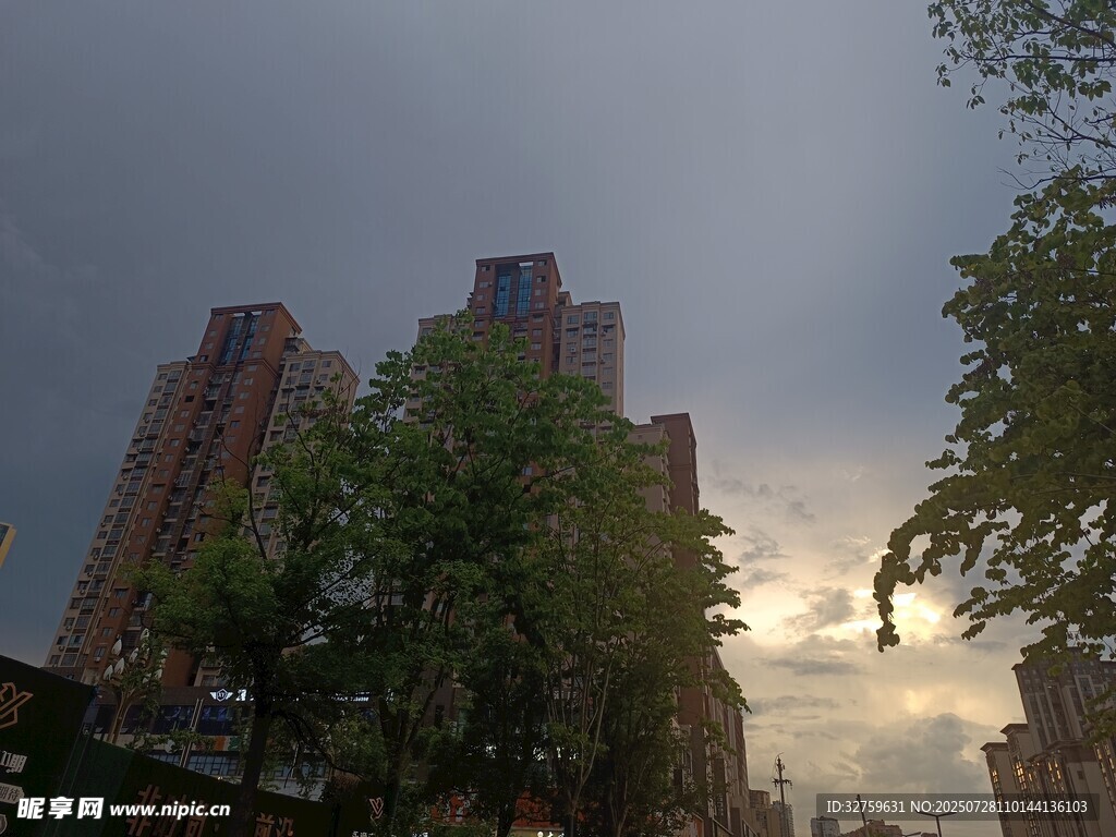 城市高楼与黄昏绿树景观