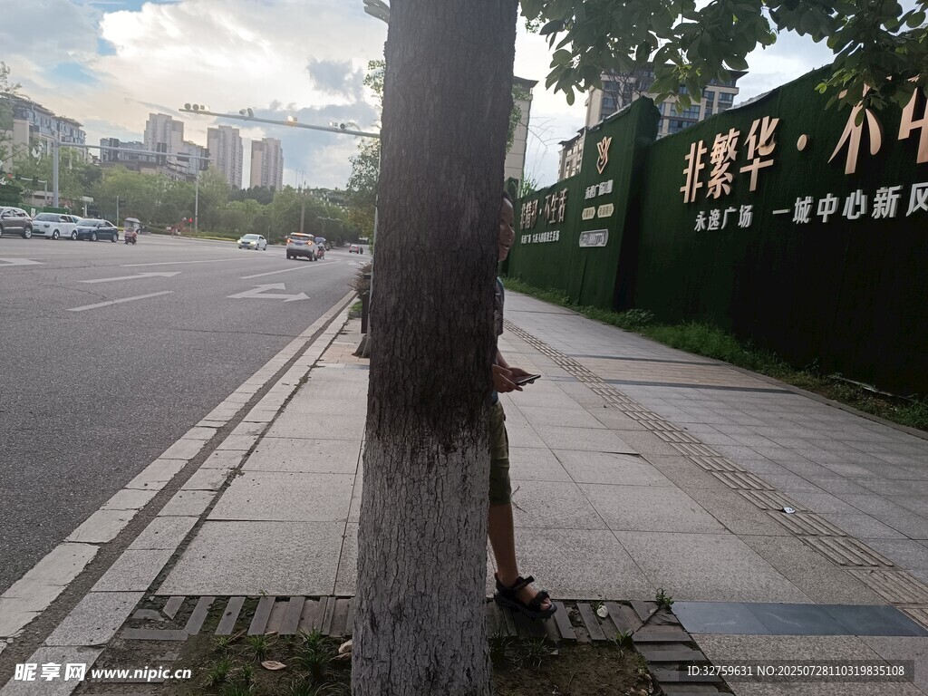 路边树干旁的城市景象