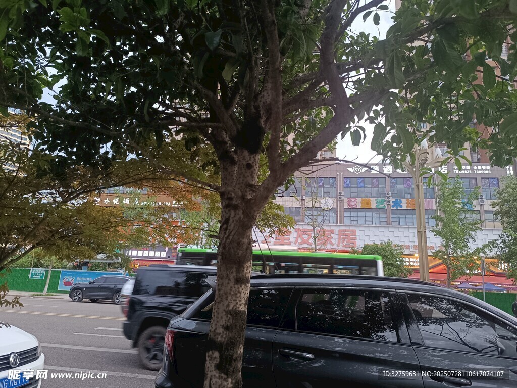 路边停车场景