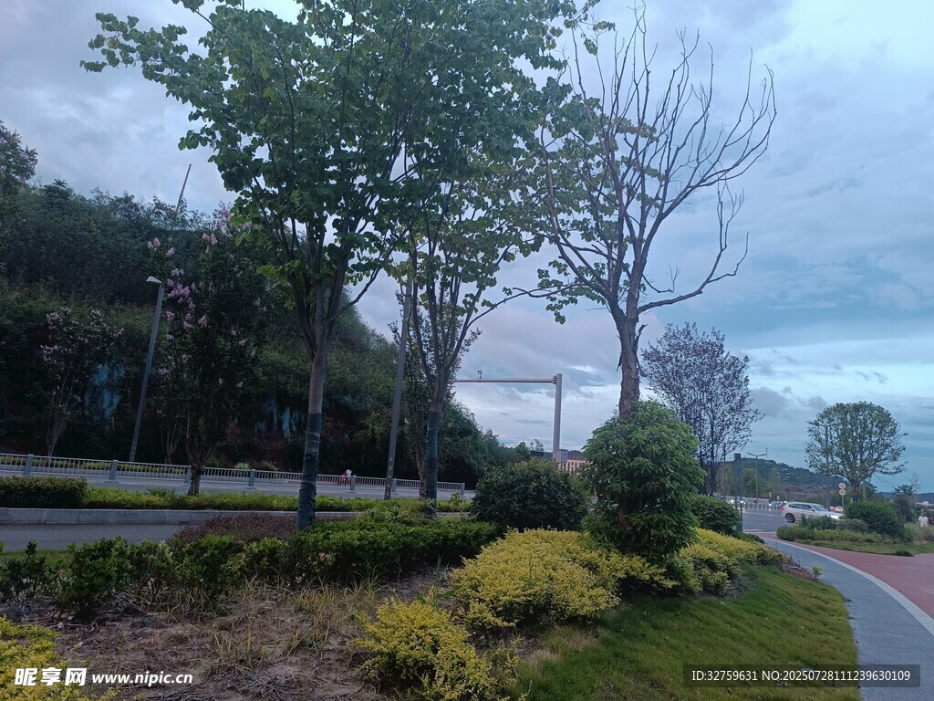 城市公园中的绿植与步道