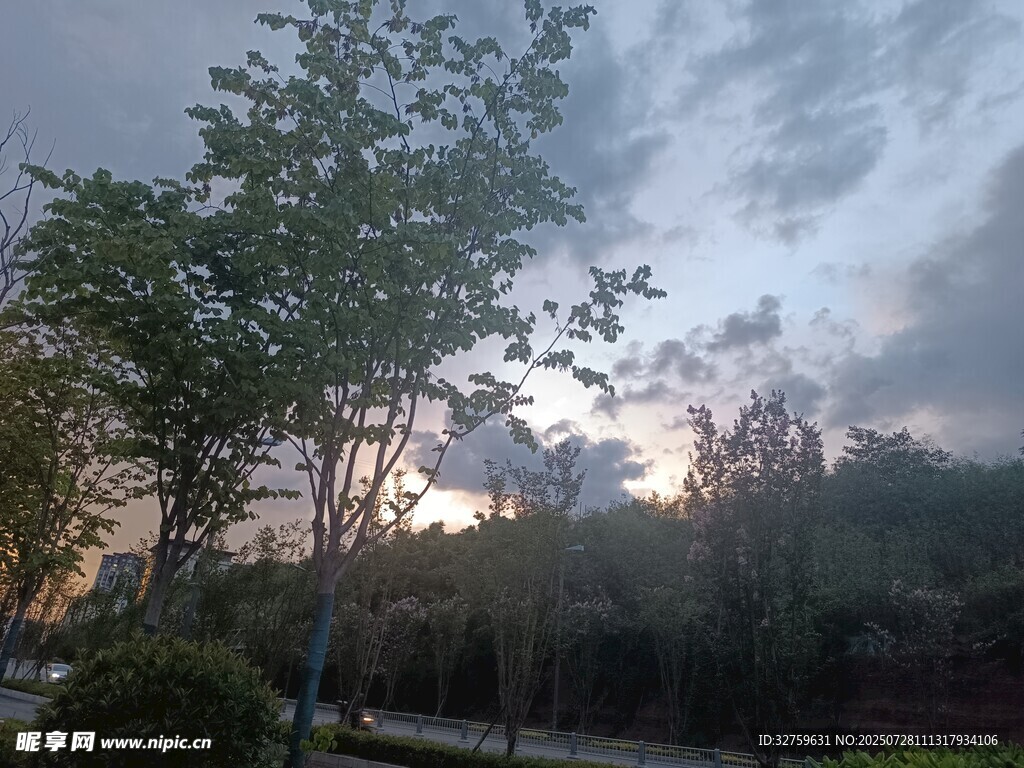 黄昏时分的树林与天空