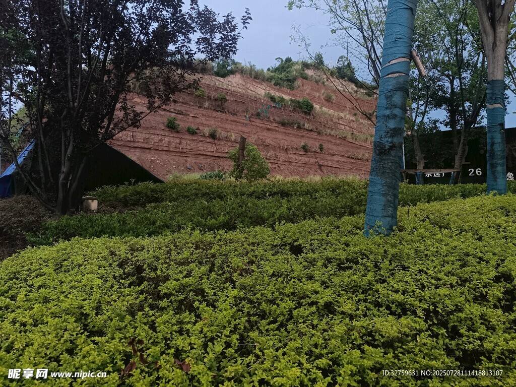 绿植环绕的红色建筑景观