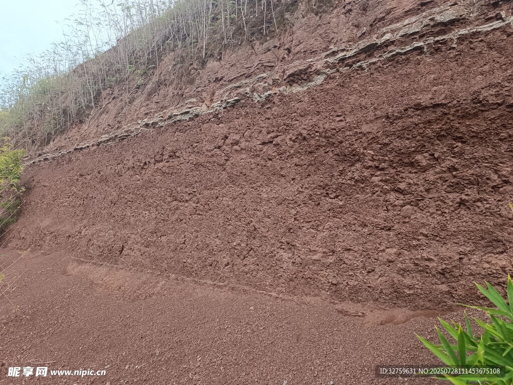 红褐色土坡与路边绿植